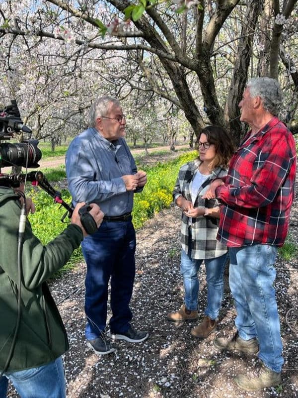 המטעים הכי יפים בצפון