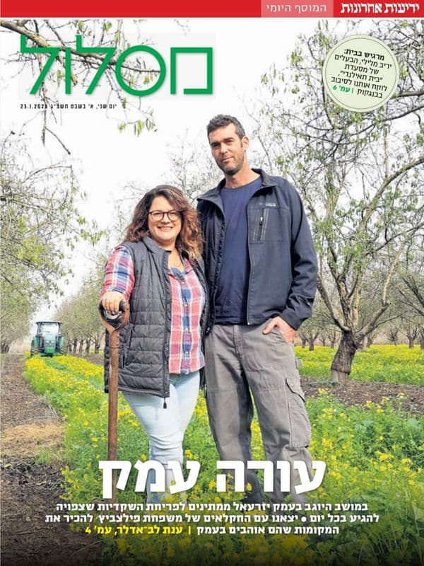 חורף יזרעאלי