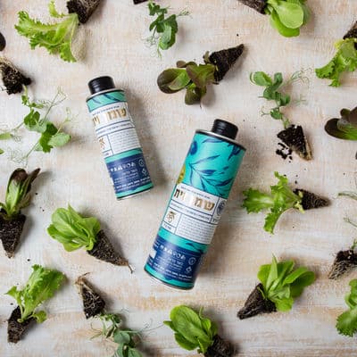 זיתים אורגניים